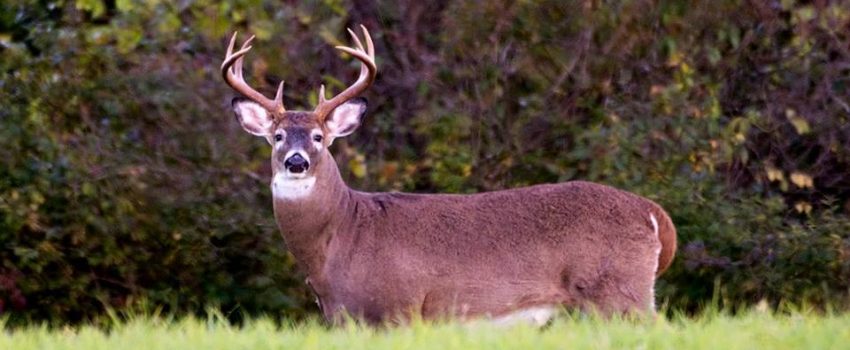 10421147_752819984739976_3934385783397630216_n