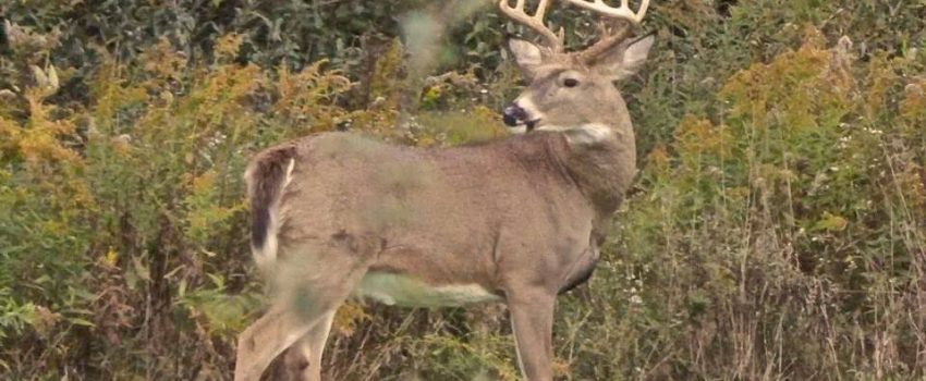 10500270_782299928458648_6173719411390745053_n (1)