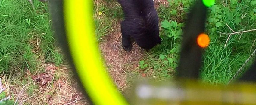 11041297_1047819915258036_2822966904823663699_n