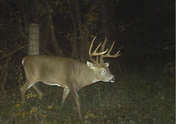 12038088_10153718107904880_429297550924728863_n