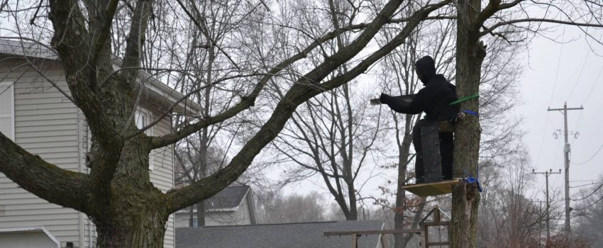 12309963_1109211909089894_7806354436268996053_o