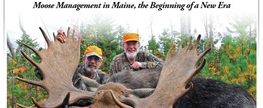 12MEHD-MooseIcon_opt