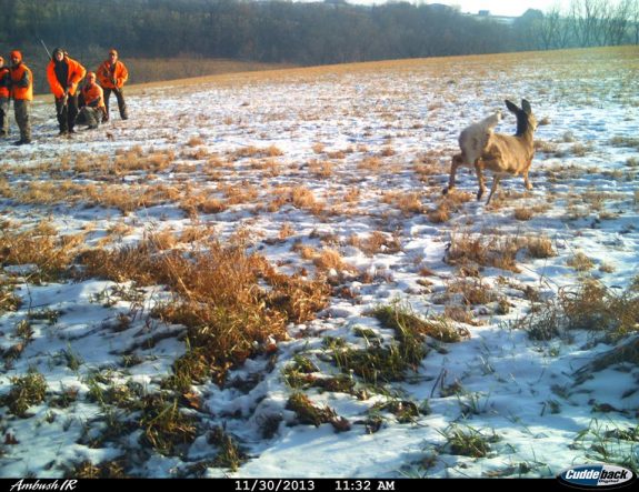 1484212_593815447357120_570236030_n