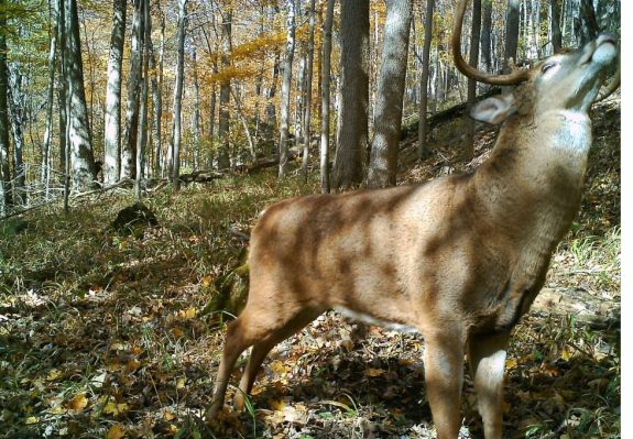 1509698_10151846784780855_243606906_n