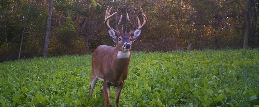 1653542_706721006016541_31693572_n