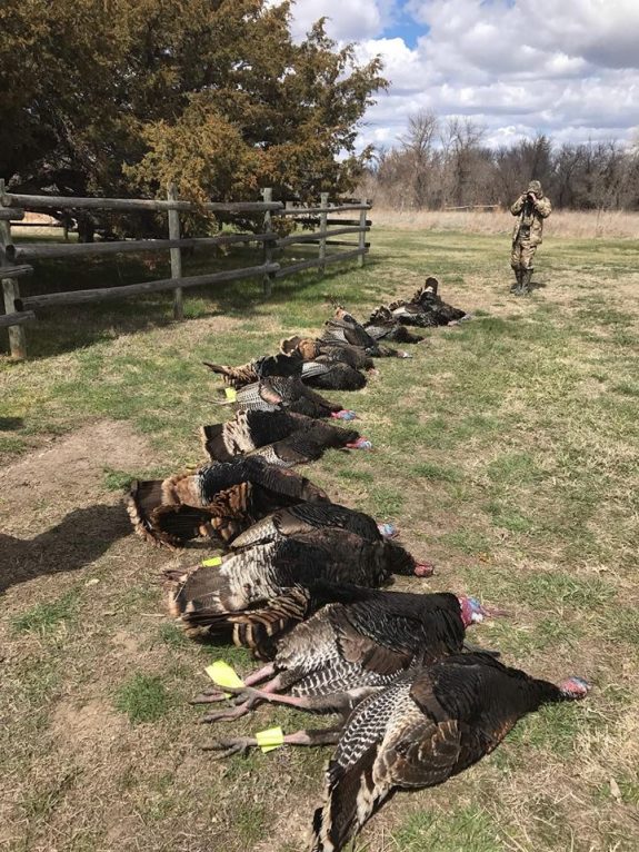 17799964_1267684076650200_1267919387203858026_n