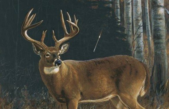 1937490_802905093064798_5143784245296374006_n