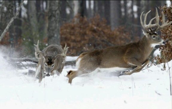 1d8598f11b55d991b78afd5206da6328