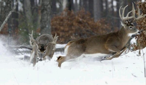 1d8598f11b55d991b78afd5206da6328