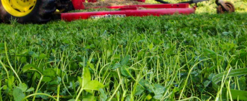 2008-aug-15-012-1024x768 (1)