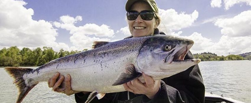 2013-1206-spring-chinook-620x350