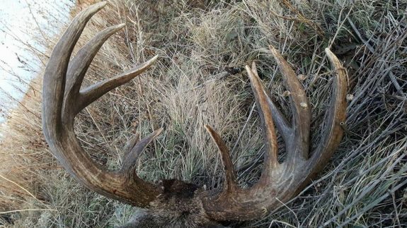 20155949_117044412265697_6529514118317172385_n