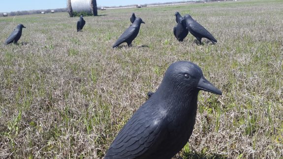 2016-03-21 12.51.21 (2)