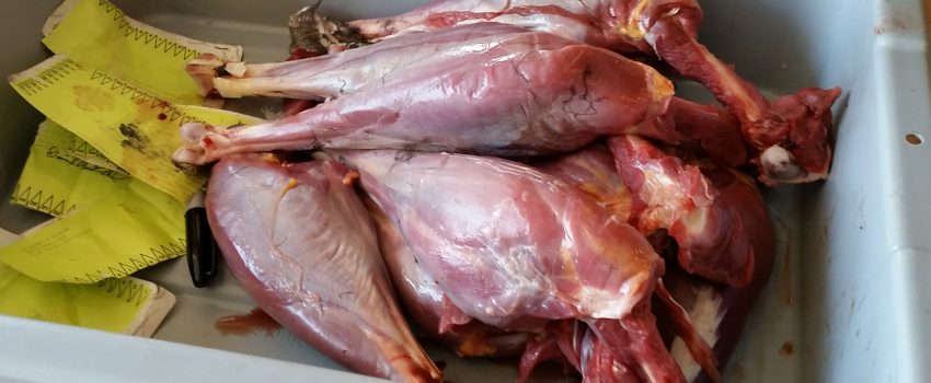 Turkey legs can be tough, yet slow cooking transforms them to the best soup ever.