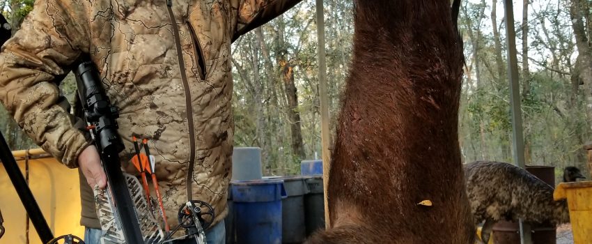 The Raven R20 performed perfectly on this 124-pound hog.