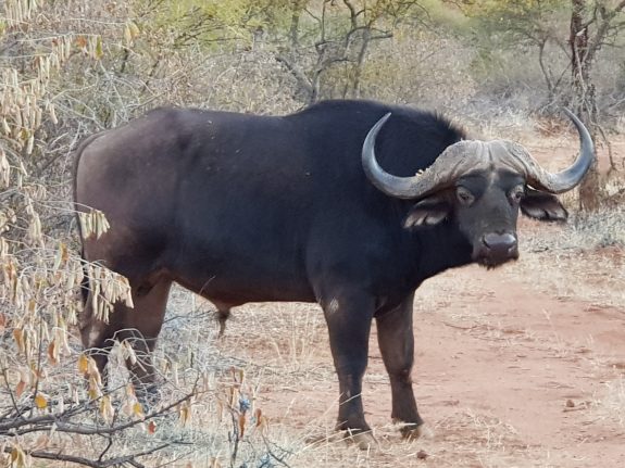 20180716_174047[8993]