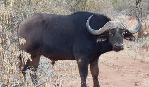 20180716_174047[8993]