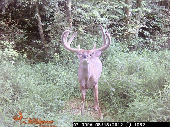 216063_10151190246220797_2054443824_n