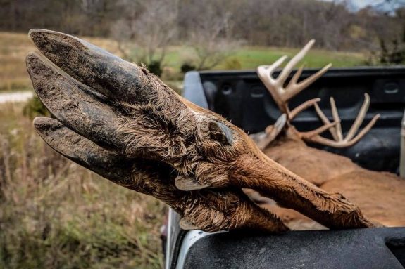 22815055_1881434911872913_2674894677091417655_n