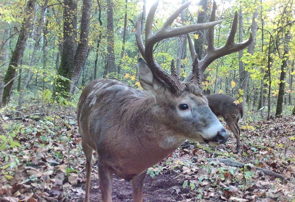 248422855_1774209802790123_6928308243508631975_n