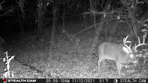 252375277_217635530450823_1084687640440658151_n