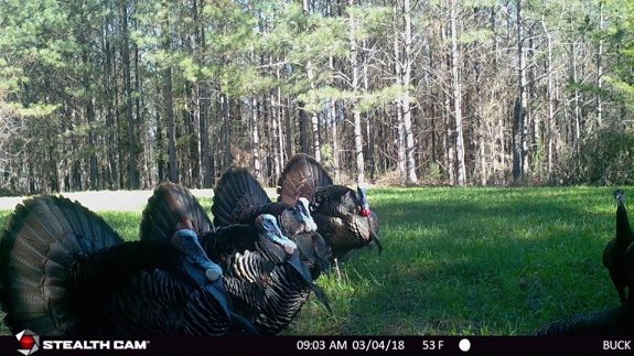 29178712_1662187183820046_2973116146296815616_n