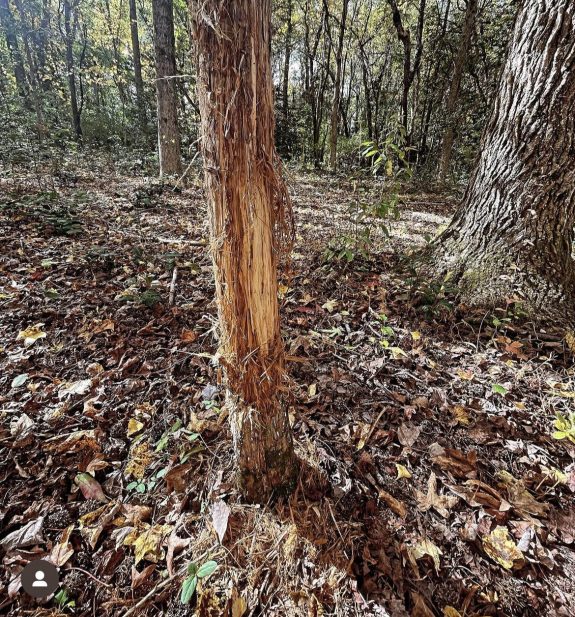 398261658_715317447164050_5889361942224572721_n