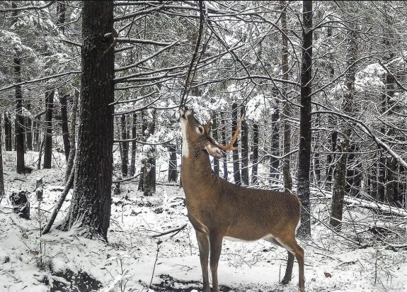 441287376_451466257360520_1472016283829223180_n