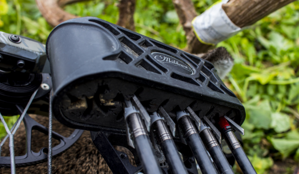 46294181_493165577837767_4296279258185072640_n