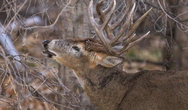 47098223_2242640586004513_7775167622227689472_n