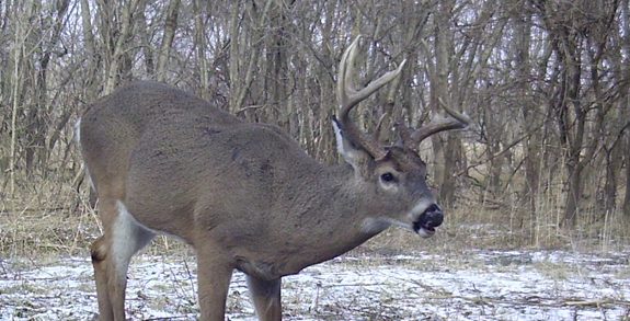My beautiful picture