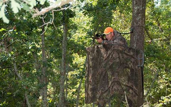 5 Image by South Carolina Department of Natural Resources