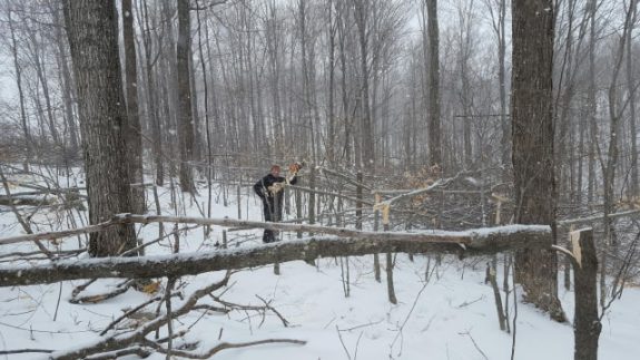 52474423_709707816091306_7495212432579624960_n