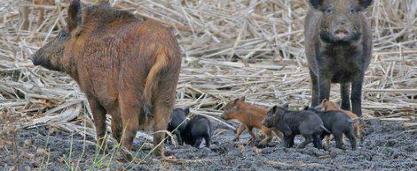 526407_10151480742280797_1234471735_n