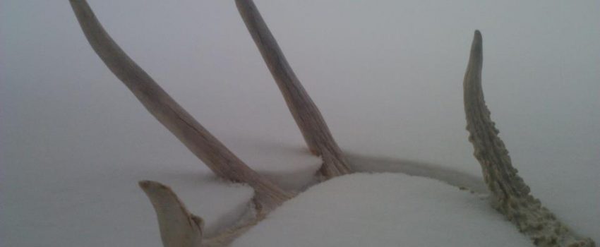 574592_412595878833295_1027107350_n