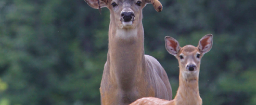 6272d4643c03b2d8c081f6d850d92567