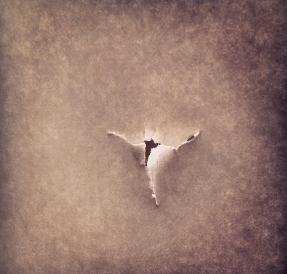 72246248_407765033245885_141477700198989824_n