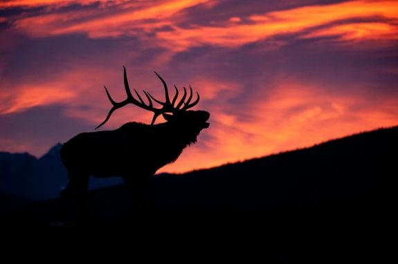 7356a56fb9f311136b626fa6d9b5f55b