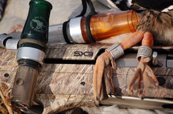 960196_10152358301728047_1122235124_n Photo by Bill saunders calls and Gear