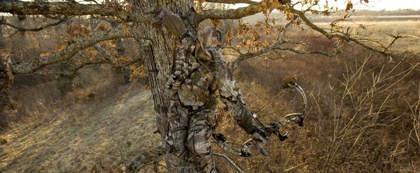 Bow-Hunting-from-a-tree-stand-photo_1