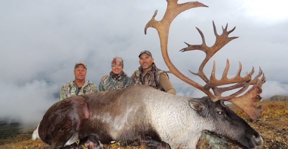 A mountain caribou is one of the great trophies of Canada.