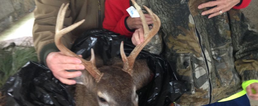 Give dad or granddad what he really wants.