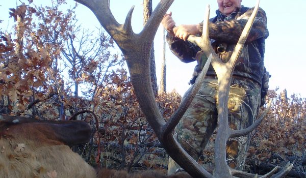 Jim Chisenhall took this great bull on public land after drawing a license.