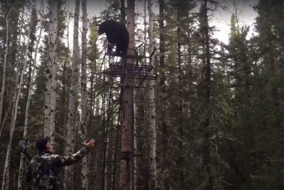 But that's my stand!