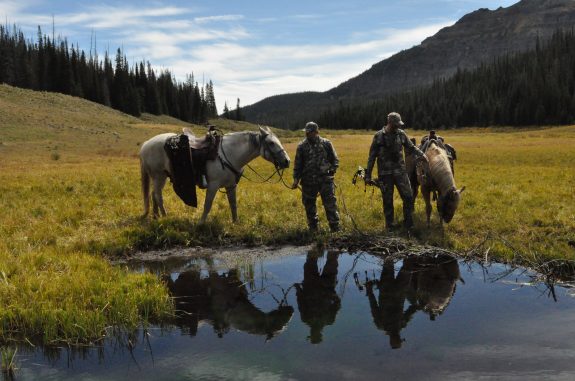 Colorado Elk 2010 075