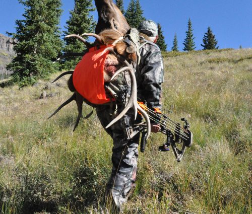Although antler growth ends in September, food and nutrition in spring and summer determine antler growth.