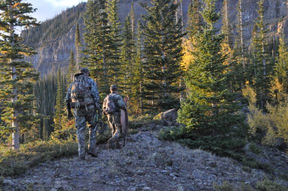 Colorado Elk 2010 545