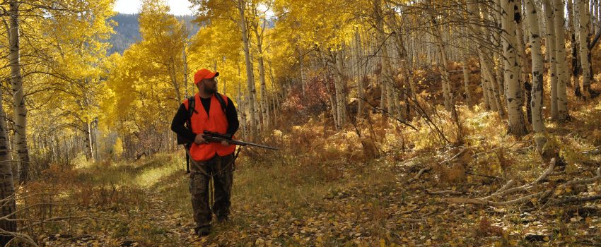 Colorado Rifle Elk 2010 064