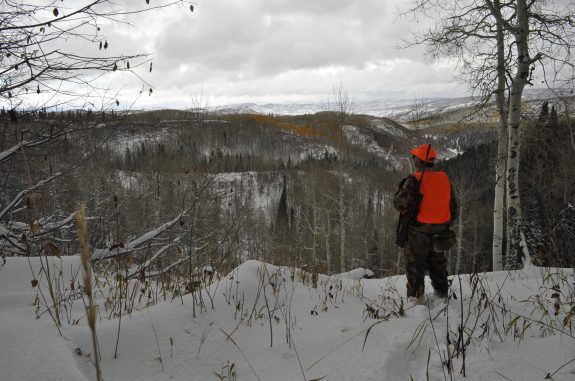 Colorado Rifle Elk 2010 186