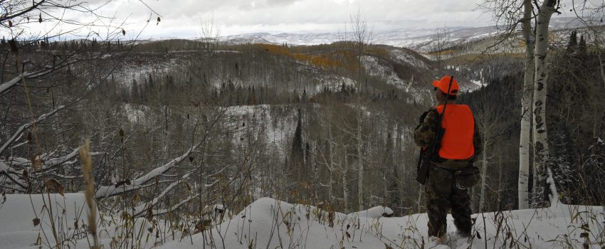 Colorado Rifle Elk 2010 186
